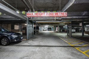 _DSC3180